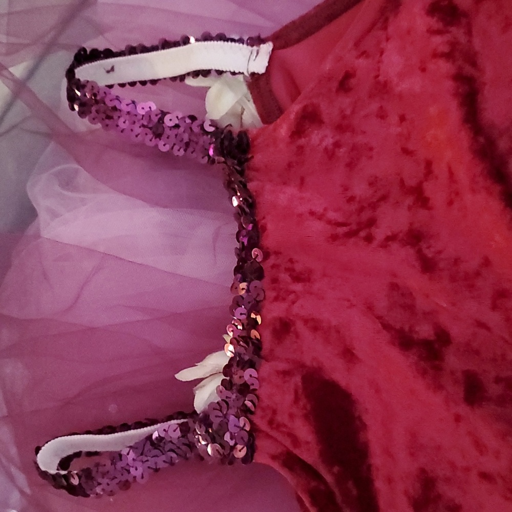 A Wish Come True Girl's Ballet Dance - Picture 5 of 10
